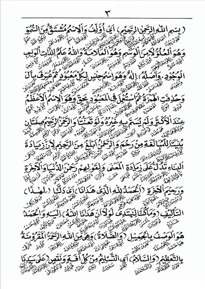 Kitab FATHUL MUIN Makna Gandul Jawa Pegon - Lebih Mudah Memahami Fikih Syafi'i Klasik preview 3