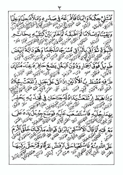 Kitab DARDIR (Qisshoh Mi'roj Nabi) - Makna Gandul Jawa Pegon preview 3