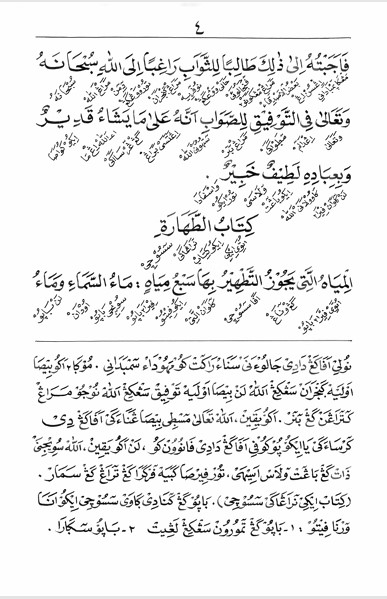 KITAB MATAN GHOYAH WATTAQRIB MAKNA GANDUL JAWA PEGON-Belajar Ilmu Fiqih Madzhab Syafi'i preview 3