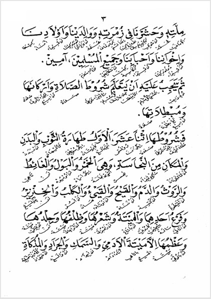 KITAB SAFINATUS SHOLAH MAKNA GANDUL JAWA PEGON - Kunci Memahami Ibadah Shalat Lewat Tradisi Ulama Salaf preview 3
